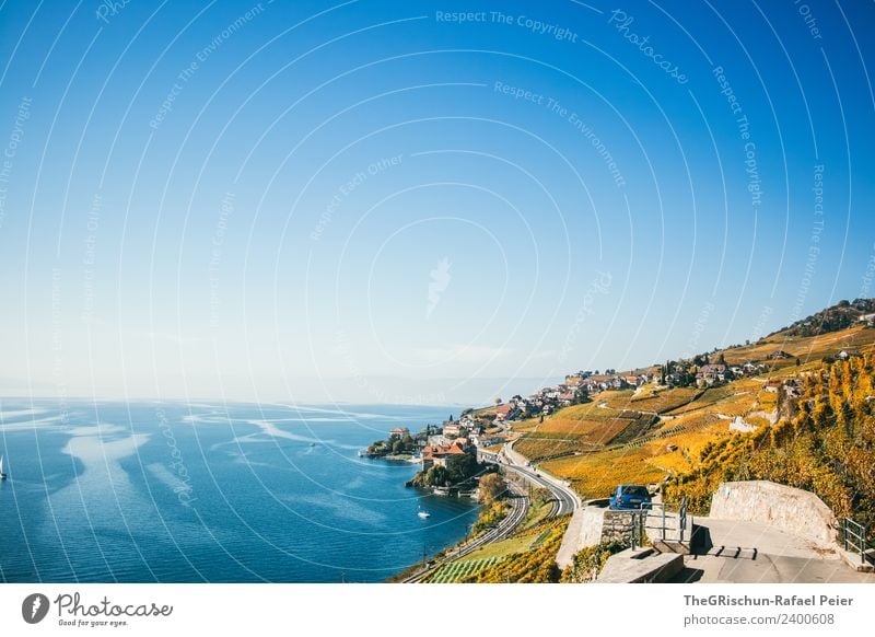 Weinberge Umwelt Natur Landschaft blau gelb gold See Strömung Blauer Himmel Straße Wasser Aussicht Genfer See Weltkulturerbe Schweiz Herbst niedlich mehrfarbig