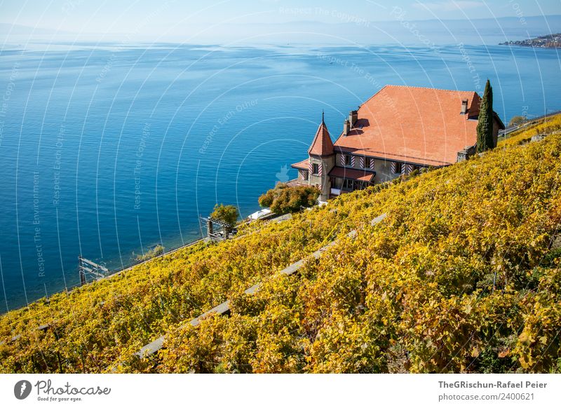 Haus am See Umwelt Natur Landschaft blau braun gelb gold haus am see Genfer See Dach Turm Wein Weinberg Strömung Aussicht reich Weltkulturerbe Schweiz Farbfoto