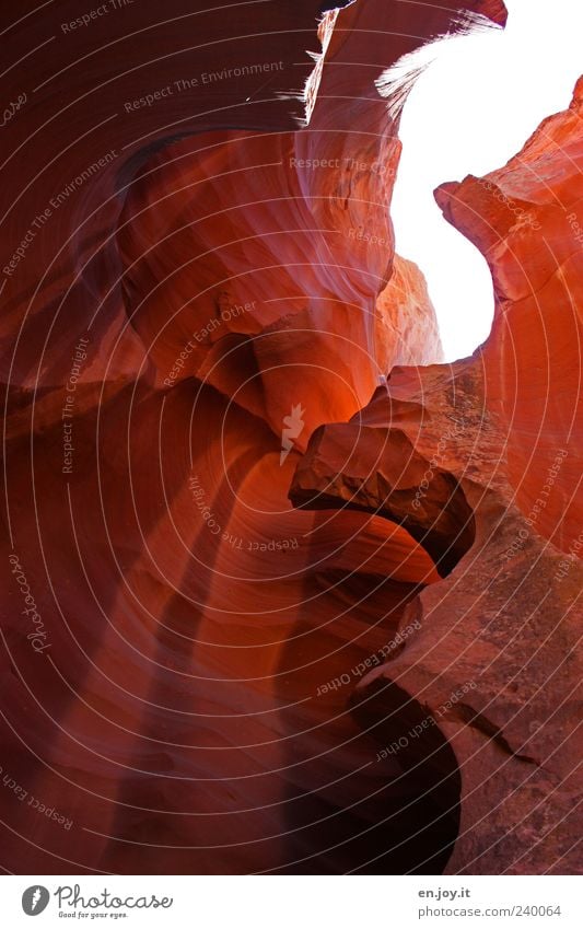 inside Ferien & Urlaub & Reisen Tourismus Natur Landschaft Urelemente Felsen Schlucht außergewöhnlich braun rot Kraft Naturwunder Antelope Canyon Page Arizona