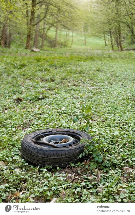 Vergessen Umwelt Natur Landschaft Gras Wiese Wald ästhetisch Vergänglichkeit Zeit Zerstörung Autoreifen Müll Müllentsorgung dreckig vergessen kaputt