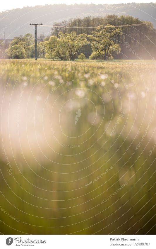 Natur pur Wellness Leben Erholung ruhig Ferien & Urlaub & Reisen Tourismus Sommer wandern Technik & Technologie High-Tech Energiewirtschaft Erneuerbare Energie