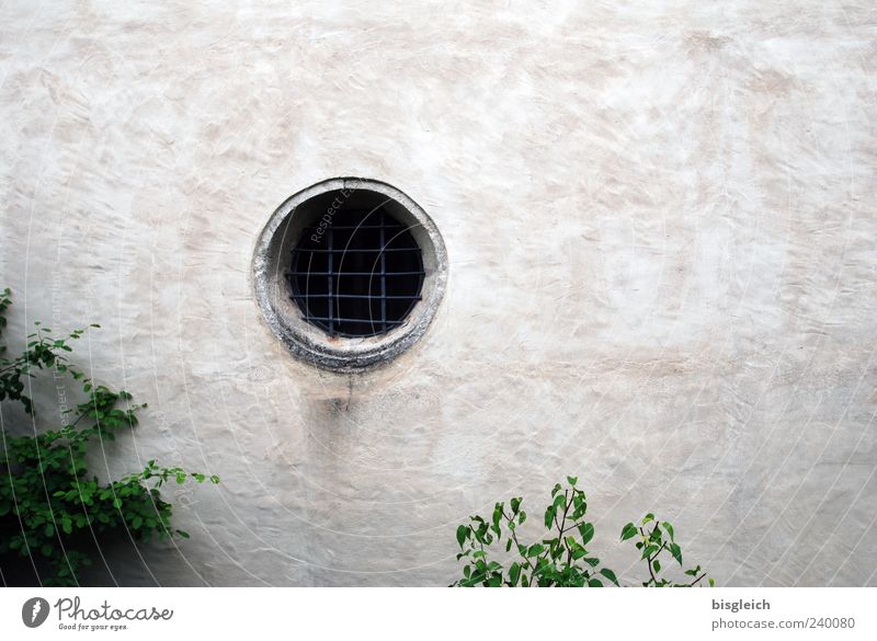 Gitterauge Sträucher Mauer Wand Fenster grau grün geschlossen Farbfoto Außenaufnahme Menschenleer Textfreiraum rechts Loch außergewöhnlich rund