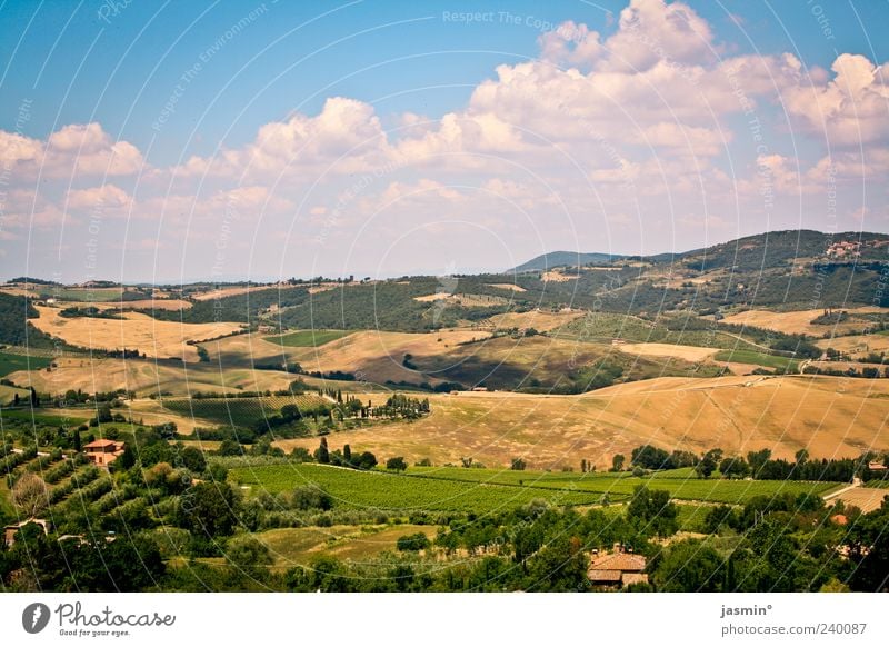 ich will zurück! Umwelt Natur Landschaft Erde Luft Himmel Wolken Sonnenlicht Sommer Wetter Schönes Wetter Pflanze Baum Gras Wiese Feld Hügel