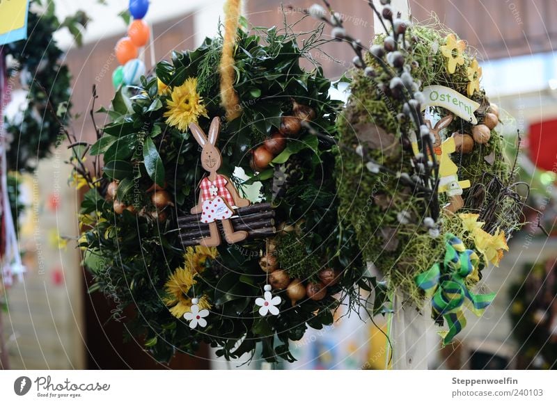 Osterkränze auf dem Ostermarkt Frühling Blume Blüte Dekoration & Verzierung Blühend genießen schön Kitsch Stimmung Freude Kultur Kranz Ostern Innenaufnahme