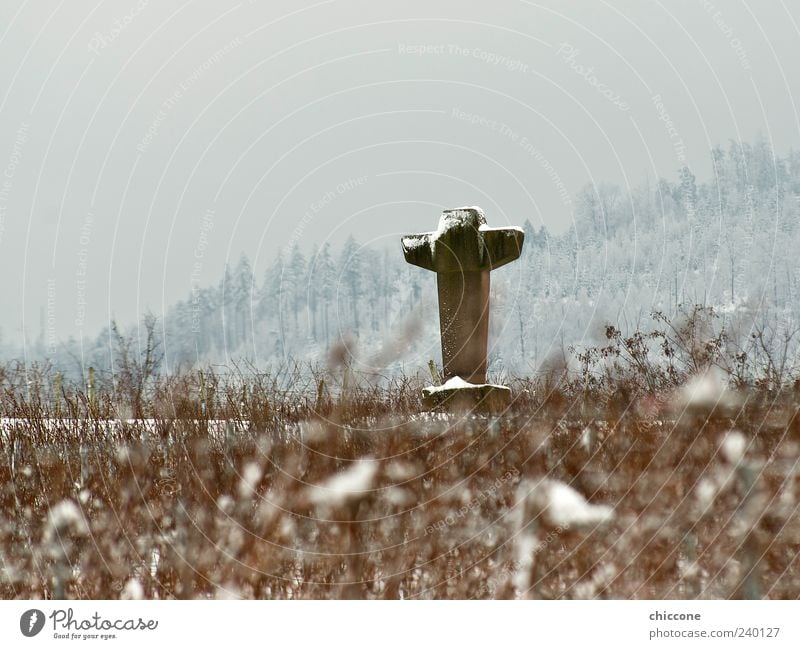 Kreuz aus Stein Skulptur Kultur Religion & Glaube Landschaft Eis Frost Schnee Sträucher Feld Steinkreuz Christliches Kreuz Sand Zeichen alt ästhetisch Gefühle