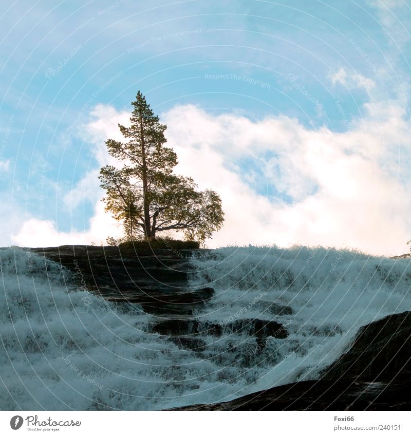 tosender Engel Luft Wasser Himmel Wolken Sommer Felsen Berge u. Gebirge Stein gigantisch hoch natürlich blau grün weiß Leben Außenaufnahme Textfreiraum oben