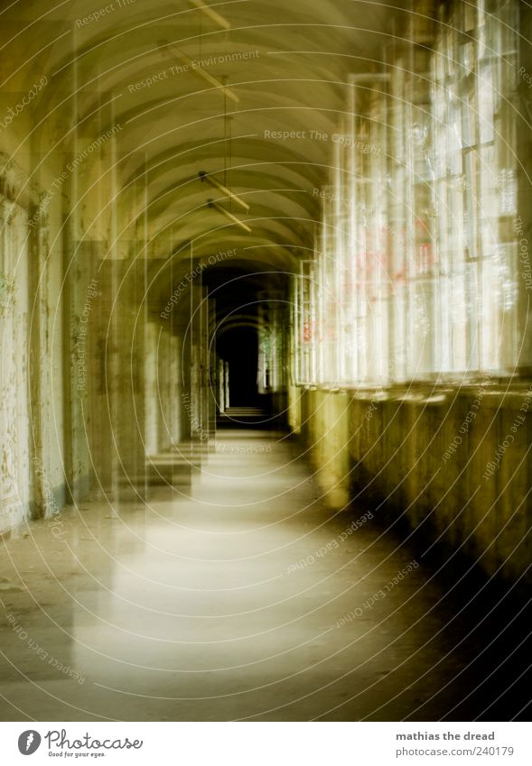 GANG Haus Ruine Bauwerk Gebäude Architektur Mauer Wand Fenster alt ästhetisch dunkel trist einzigartig Endzeitstimmung Flur Gang Lampe Fensterfront Lichteinfall