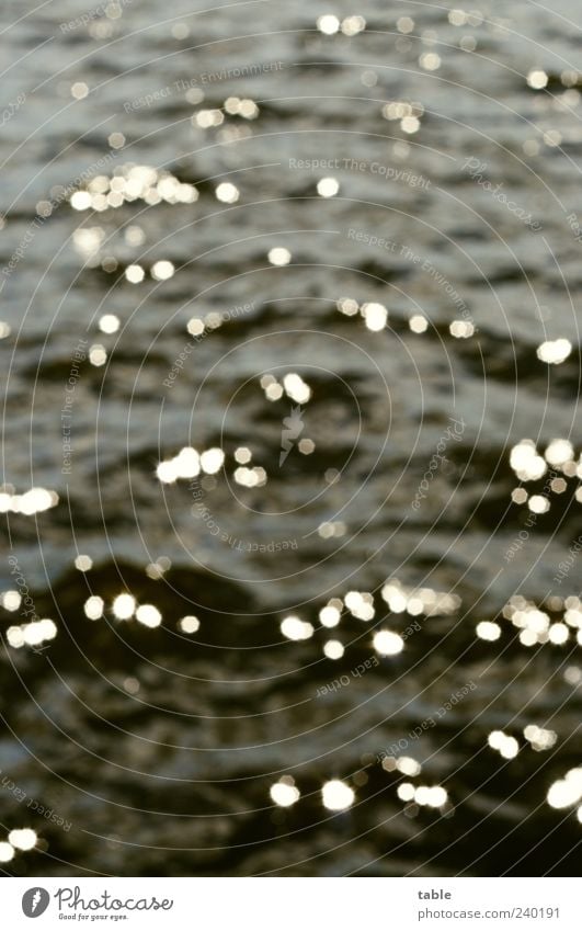 blurry Umwelt Natur Urelemente Wasser Schönes Wetter Wellen See Lichtpunkt glänzend leuchten dunkel Flüssigkeit nass natürlich blau grau schwarz silber weiß