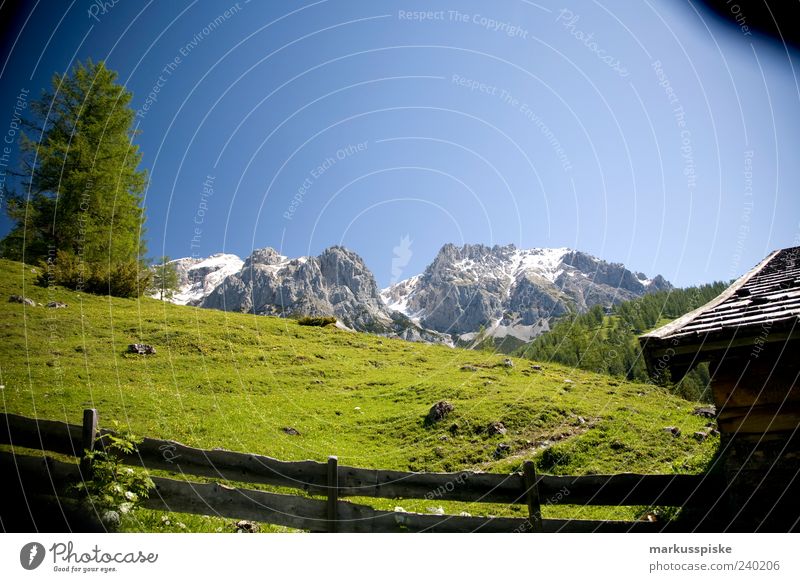 Berghütte mit Aussicht Ferien & Urlaub & Reisen Ferne Freiheit Berge u. Gebirge Landschaft Pflanze Tier Baum Gras Grünpflanze Hügel Felsen Alpen Dachsteingruppe