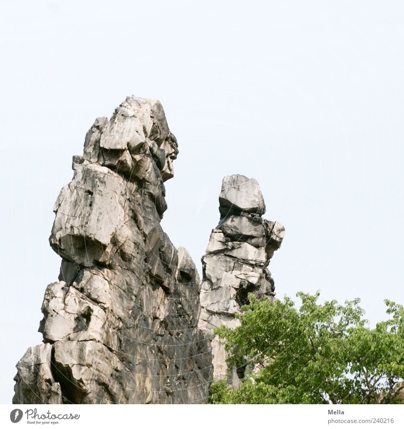 Steinbeißer-Duell Umwelt Natur Landschaft Felsen Berge u. Gebirge stehen eckig fest groß natürlich bizarr Harz gegenüber Farbfoto Außenaufnahme Menschenleer