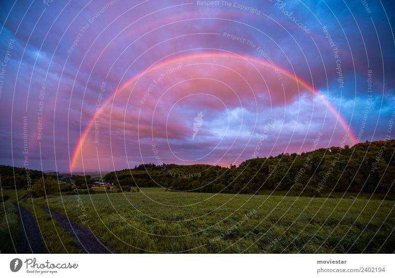 Regenbogenland Umwelt Natur Landschaft Luft Wassertropfen Himmel Gewitterwolken Sonnenaufgang Sonnenuntergang Sonnenlicht Frühling Schönes Wetter Gras Feld Wald