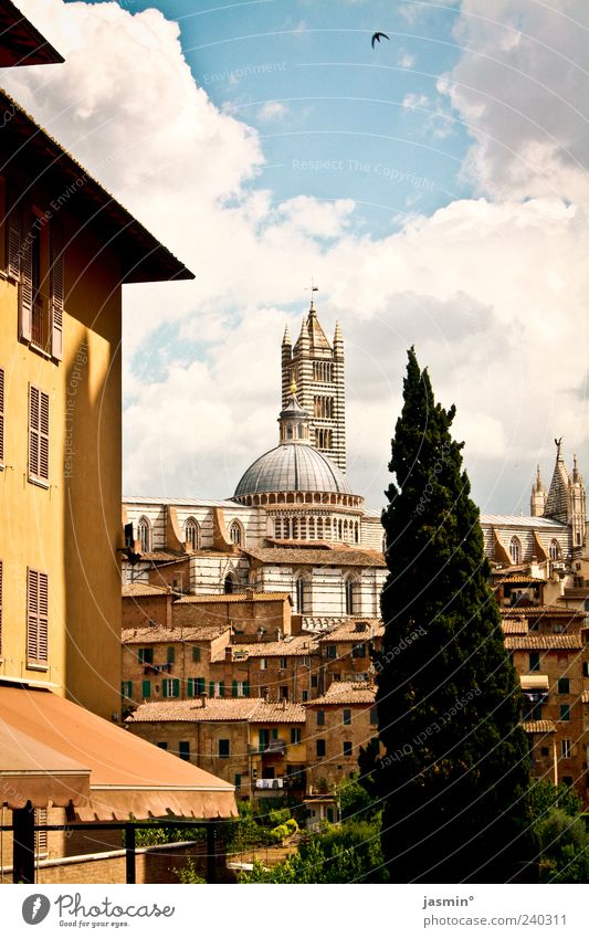 Siena Umwelt Landschaft Himmel Wolken Schönes Wetter Pflanze Baum Stadt Skyline Dom Bauwerk Sehenswürdigkeit Wahrzeichen Denkmal Ferien & Urlaub & Reisen Kultur