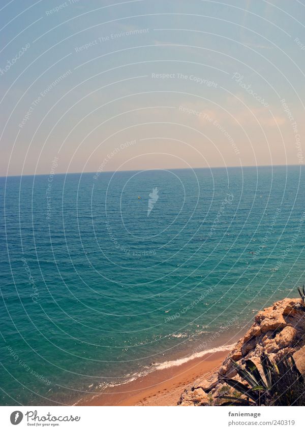 türkisblau! Umwelt Natur Sand Wasser Himmel Wolkenloser Himmel Sommer Schönes Wetter Kaktus Wellen Küste Strand Meer braun grün Urlaubsfoto