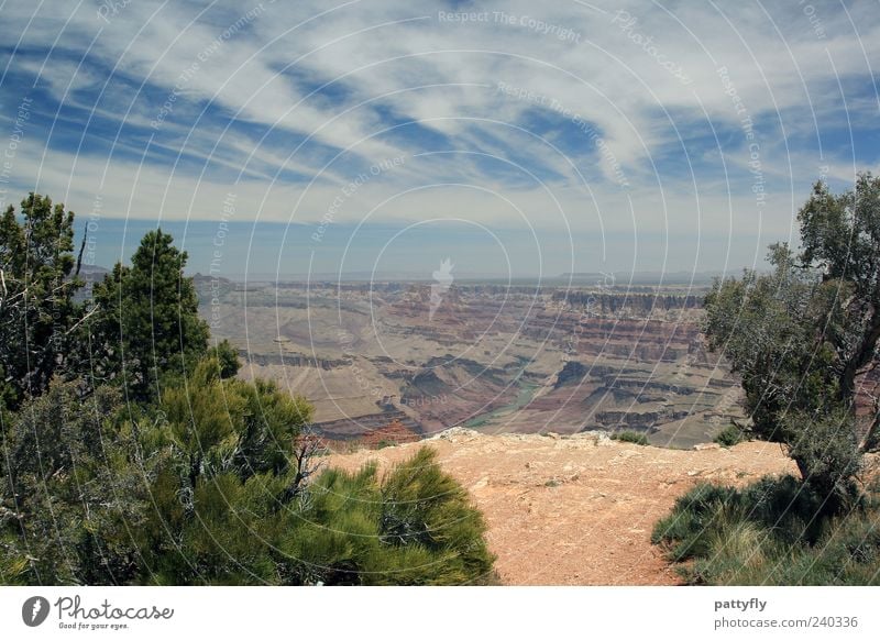 Freiheit... Umwelt Natur Landschaft Urelemente Erde Himmel Wolken Horizont Sommer Sträucher Felsen Schlucht Grand Canyon gigantisch Unendlichkeit Zufriedenheit