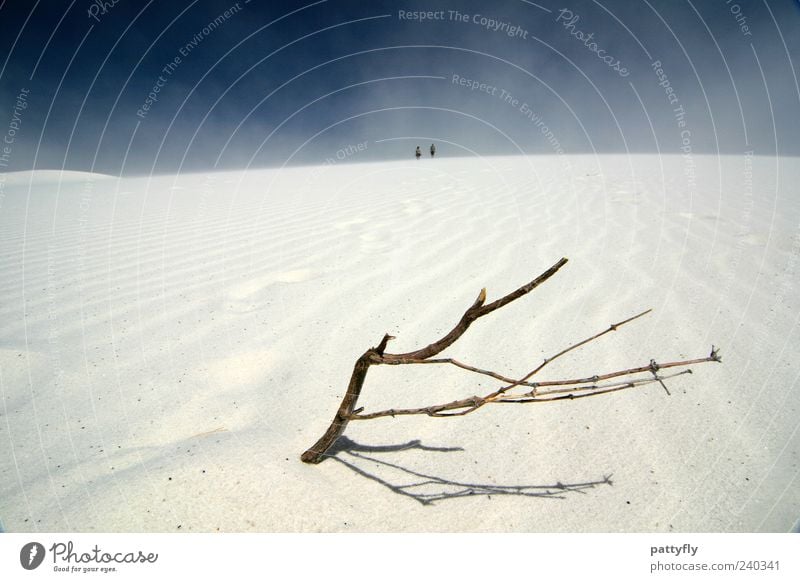 Ab zweig ung Mensch 2 Umwelt Natur Landschaft Urelemente Sand Himmel Sommer Schönes Wetter Sturm Wüste White Sands beobachten genießen Blick gigantisch trocken