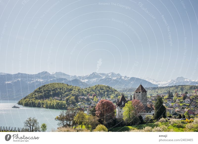 Spiez CH Umwelt Natur Landschaft Himmel Wolkenloser Himmel Frühling Sommer Schönes Wetter Berge u. Gebirge Kleinstadt Burg oder Schloss Sehenswürdigkeit