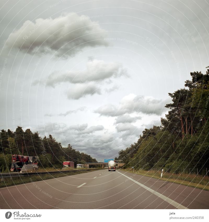 jala on tour Ausflug Natur Himmel Wolken Pflanze Baum Verkehr Verkehrsmittel Verkehrswege Personenverkehr Straßenverkehr Autofahren Autobahn Verkehrszeichen