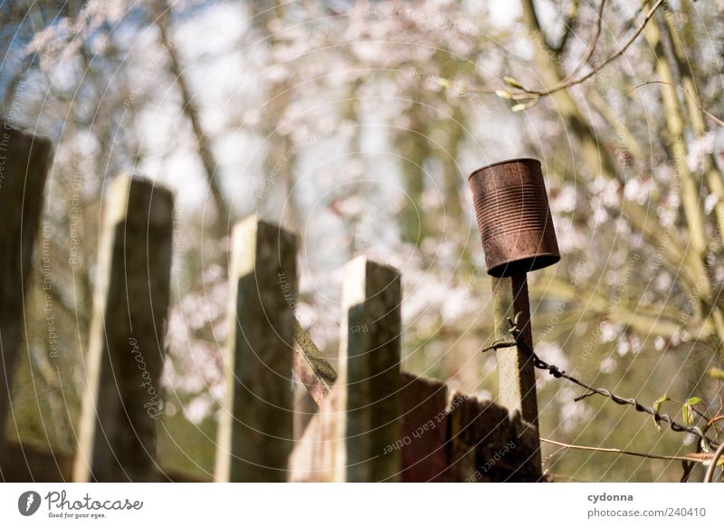 Gartenklingel Lifestyle harmonisch Wohlgefühl Erholung ruhig Freizeit & Hobby Ausflug Freiheit Umwelt Natur Baum Blüte ästhetisch Einsamkeit einzigartig