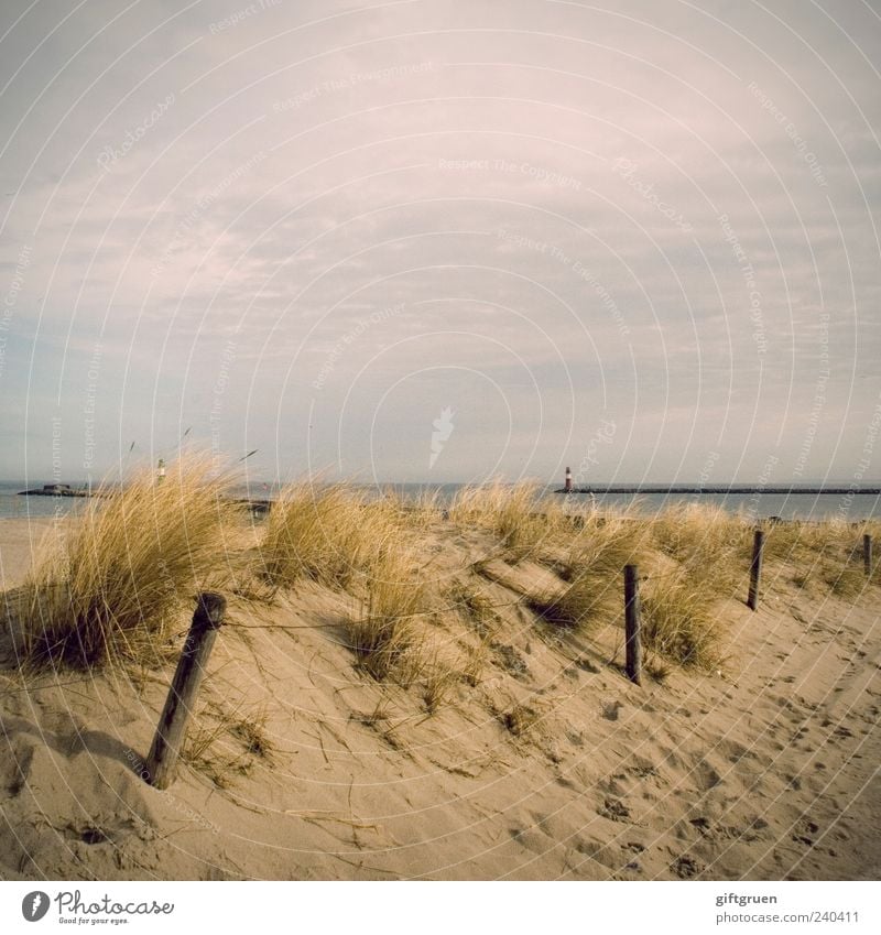 early summer days Umwelt Natur Landschaft Pflanze Sand Wasser Himmel Wolken Sommer Schönes Wetter Küste Strand Ostsee Meer natürlich Düne Stranddüne Dünengras