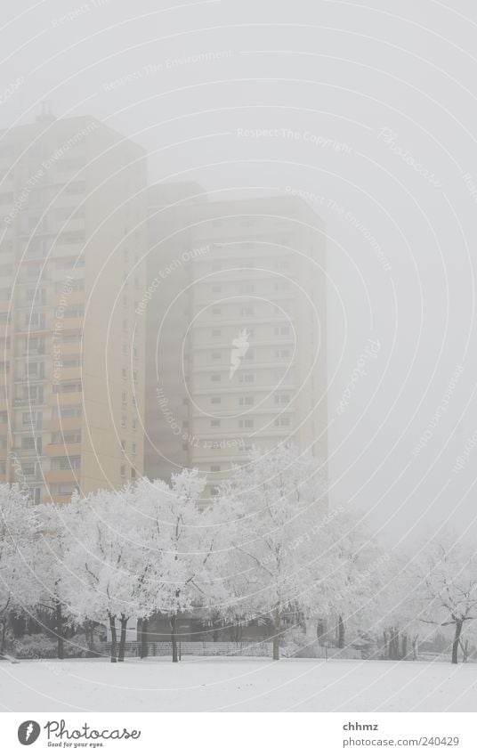 Hochaus im Nebel Eis Frost Schnee Baum Park Mainz Hochhaus Fassade Balkon Fenster fantastisch kalt gelb grau frieren Einsamkeit Klima stagnierend Traurigkeit