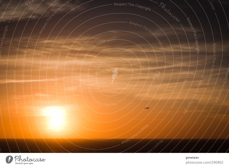 Richtung Sonne Umwelt Natur Landschaft Luft Wasser Himmel Wolken Horizont Sonnenaufgang Sonnenuntergang Sonnenlicht Sommer Klima Klimawandel Wetter