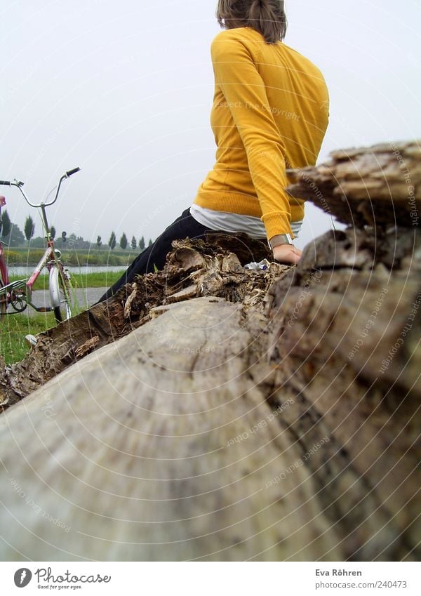 Klappradtour Ferien & Urlaub & Reisen Fahrradtour Junge Frau Jugendliche 1 Mensch Natur Baum Verkehrsmittel Wege & Pfade Holz beobachten Denken Erholung sitzen