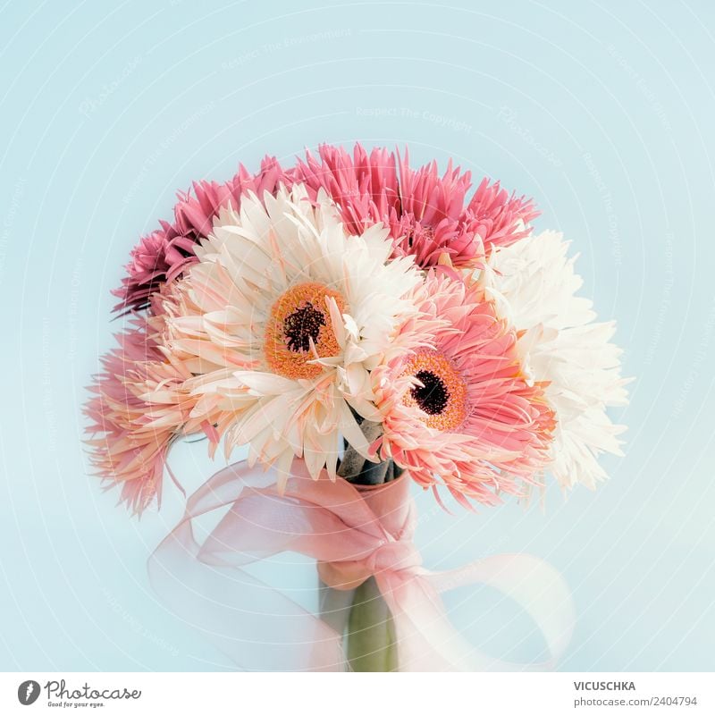 Gerbera Blumenstrauß mit Schleife Stil Design Sommer Feste & Feiern Valentinstag Muttertag Hochzeit Geburtstag Natur Pflanze Blatt Blüte Dekoration & Verzierung