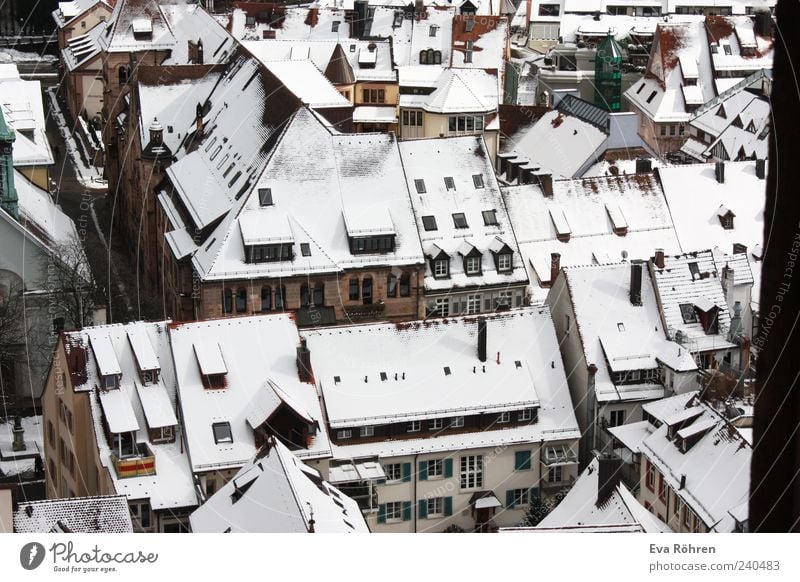 Schneedächer Umwelt Winter Stadt Stadtzentrum Haus Gebäude Fenster Dach Blick frisch historisch hoch kalt oben Spitze weiß Schutz Geborgenheit Idylle