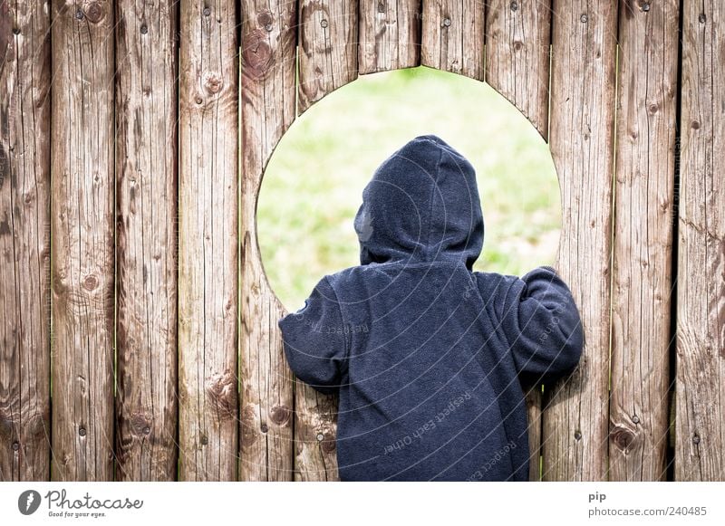 rundschau Mensch Kind Kleinkind Rücken 1 1-3 Jahre Spielplatz Pullover Kapuze Holz Blick Spielen blau Neugier Kindheit Loch Öffnung Holzbrett Bretterzaun