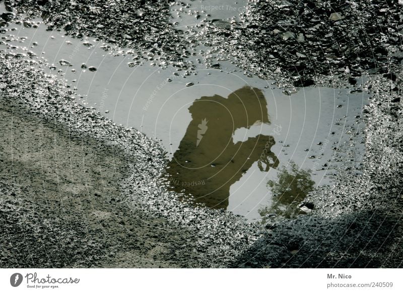 profil 1 Mensch beobachten Pfütze Straße Straßenbelag nass Asphalt Reflexion & Spiegelung stehen grau Außenaufnahme Schatten Silhouette Wasserspiegelung Kopf