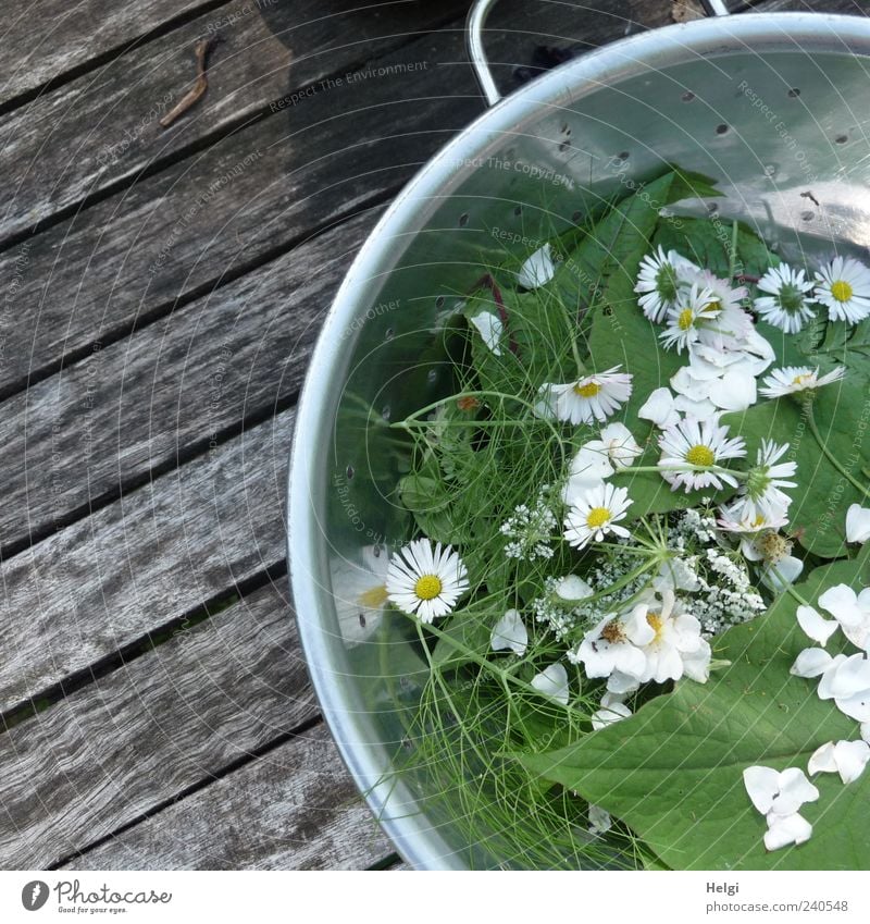 frische Kräuter und Blüten in einer Metallschüssel auf einem Holztisch Lebensmittel Salat Salatbeilage Kräuter & Gewürze Ernährung Bioprodukte