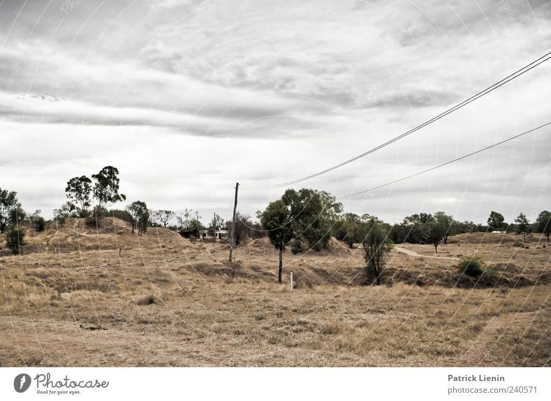 Miles from nowhere ruhig Kabel Umwelt Natur Landschaft Urelemente Luft Himmel Wetter schlechtes Wetter Baum Hügel trist trocken grau Einsamkeit