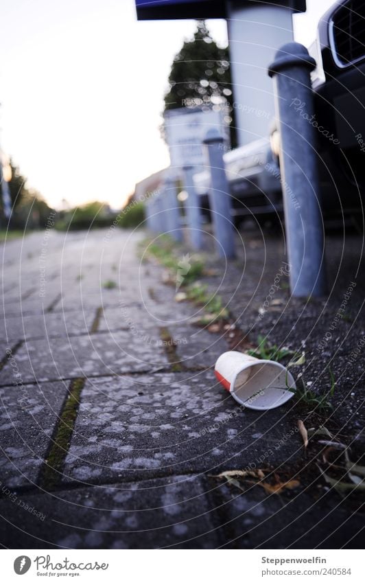 Müll im Fokus Becher Armut dreckig Billig hässlich kaputt grau Durst bequem ignorant achtlos unaufmerksam Pappbecher Wege & Pfade Pflastersteine Pfosten