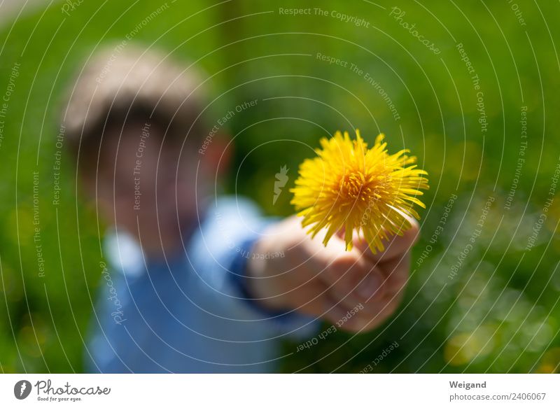 Muttertag Wohlgefühl Zufriedenheit Mädchen Junge Kindheit 1 Mensch 3-8 Jahre Freundlichkeit frisch Gesundheit Zusammensein Glück gelb grün Freude Fröhlichkeit