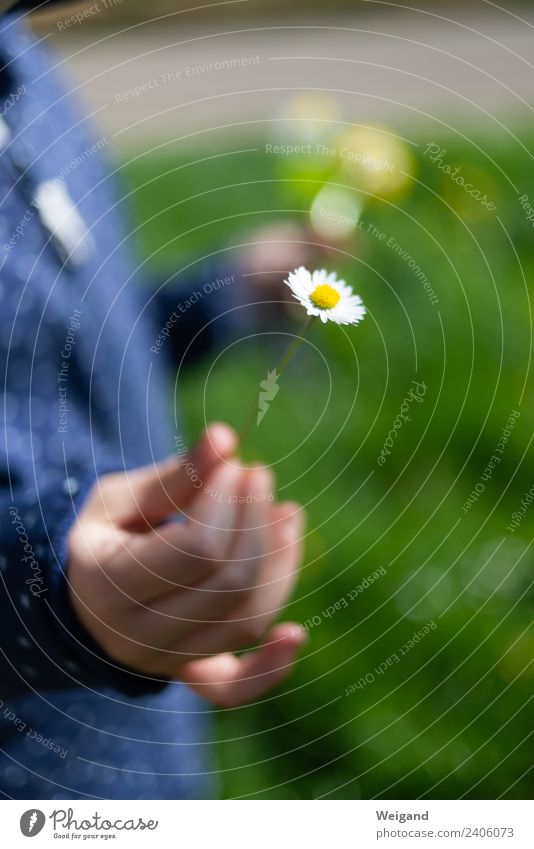 Dankeschön II Erholung ruhig Meditation Duft Kindergarten Kleinkind Kindheit beobachten berühren laufen Freundlichkeit Fröhlichkeit Freude Glück Zufriedenheit