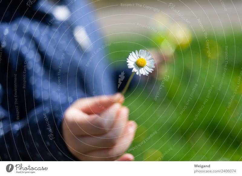 Dankeschön ruhig Meditation Duft Kindererziehung Kindergarten Kleinkind Mädchen Junge Hand berühren Lächeln lachen Freundlichkeit Fröhlichkeit grün Freude Glück