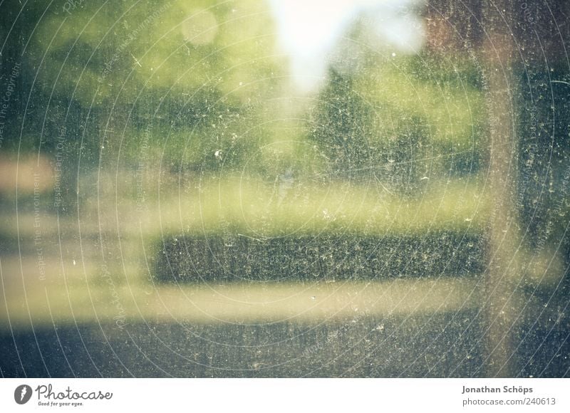 keine Aussicht auf Durchblick Glas Blick grün Unschärfe Fenster Fensterscheibe dreckig Kratzer unklar Natur Baum Sehvermögen kaputt ungewiss Gegenwart