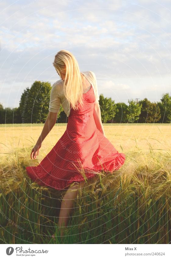 Kornfeld Mensch feminin Junge Frau Jugendliche 1 18-30 Jahre Erwachsene Natur Himmel Sommer Gras Feld Kleid Haare & Frisuren blond langhaarig schön rot Farbfoto