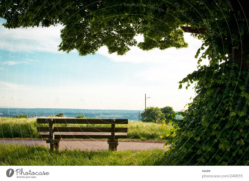 Rastplatz Umwelt Natur Landschaft Himmel Horizont Sommer Schönes Wetter Baum Blatt Wiese Wege & Pfade authentisch schön grün Idylle Pause Bank Aussicht