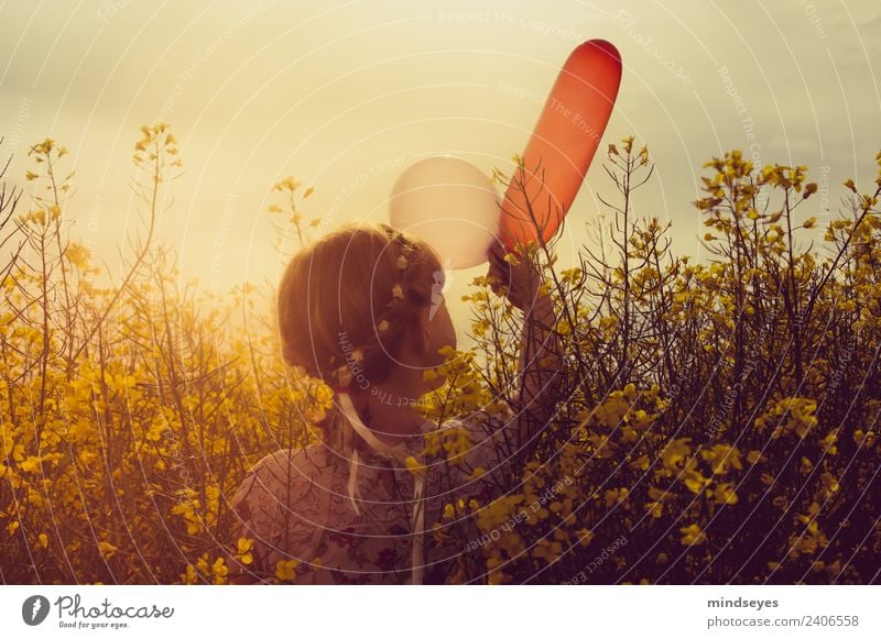 Mädchen mit Luftballons im Rapsfeld Kindheit 1 Mensch 3-8 Jahre Wolkenloser Himmel Sonnenlicht Schönes Wetter Rapsblüte Feld Blumenkranz Blühend Duft entdecken