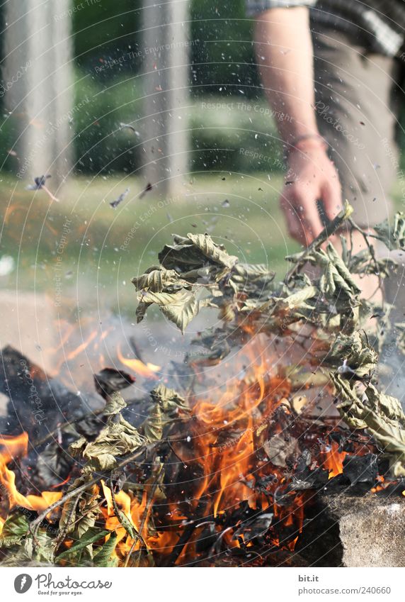 es soll Grillwetter... Ernährung Ferien & Urlaub & Reisen Abenteuer Freiheit Veranstaltung Feste & Feiern Geburtstag 1 Mensch Natur Urelemente Feuer heiß