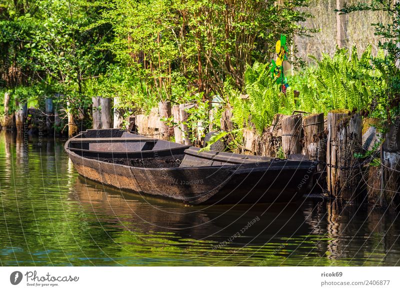 Holzkahn im Spreewald bei Lübbenau Erholung Ferien & Urlaub & Reisen Tourismus Natur Wasser Baum Fluss Wasserfahrzeug alt historisch grün Romantik Idylle