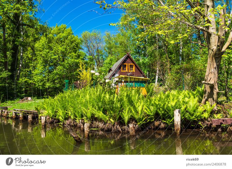 Gebäude im Spreewald bei Lehde Ferien & Urlaub & Reisen Tourismus Haus Natur Landschaft Wasser Baum Wald Fluss Sehenswürdigkeit alt historisch grün Romantik