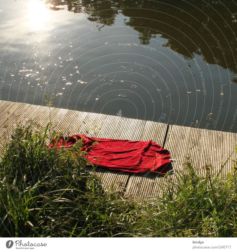 Verlassen Schwimmen & Baden Sommer Seeufer authentisch natürlich rot Romantik Einsamkeit Erholung Freizeit & Hobby Natur Rotes Tuch rotes Badetuch Liegeplatz