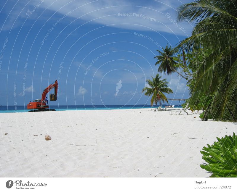 Arbeit im Paradies Strand Bagger Palme Meer Ferien & Urlaub & Reisen Arbeit & Erwerbstätigkeit Sand