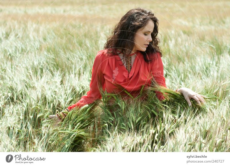 *Kornblume" harmonisch Wohlgefühl Zufriedenheit Erholung ruhig Mensch feminin Junge Frau Jugendliche Leben 18-30 Jahre Erwachsene Umwelt Natur Sommer Feld Kleid