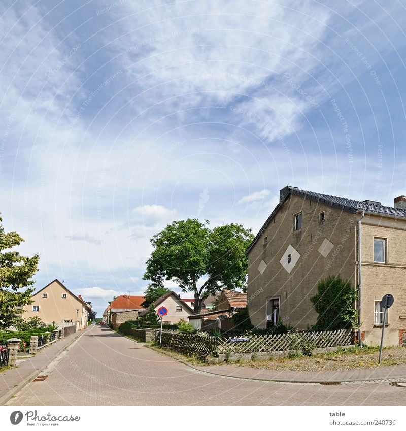 Lindow/Mark Brandenburg Umwelt Natur Landschaft Himmel Sommer Baum Deutschland Kleinstadt Stadtrand Haus Bauwerk Gebäude Mauer Wand Fassade Garten Fenster Tür