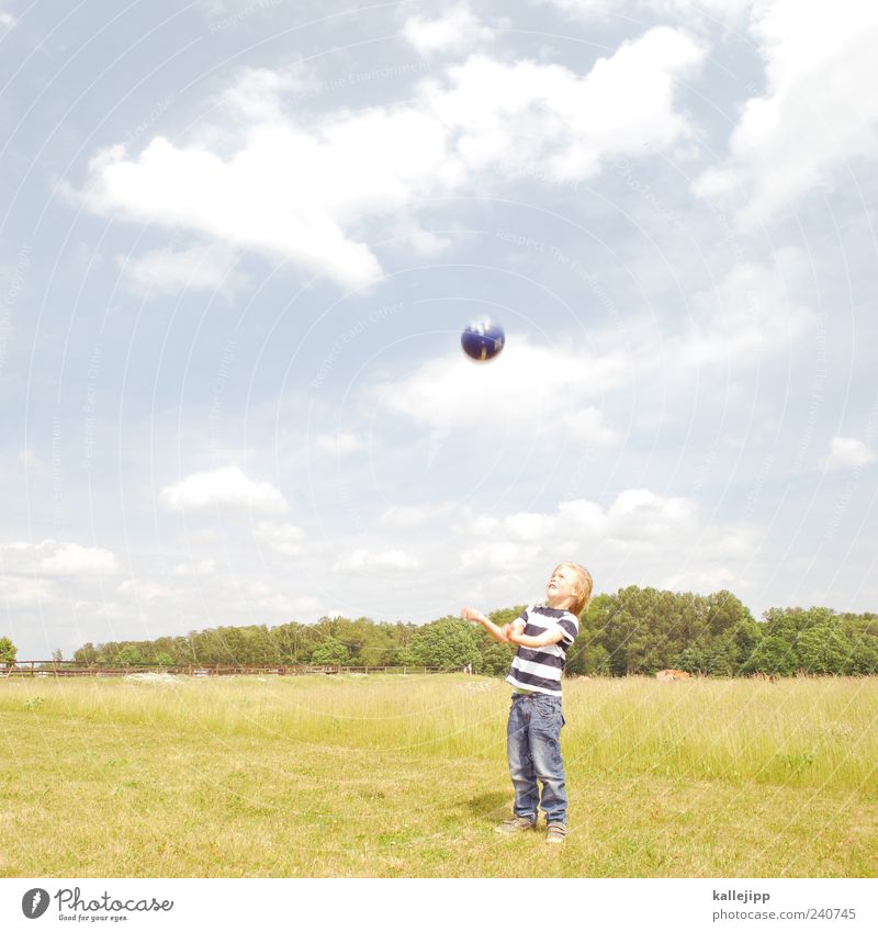 baller mann Lifestyle Freizeit & Hobby Spielen Mensch Junge Kindheit Leben 1 3-8 Jahre Umwelt Natur Landschaft Pflanze Himmel Wolkenloser Himmel Sommer Park