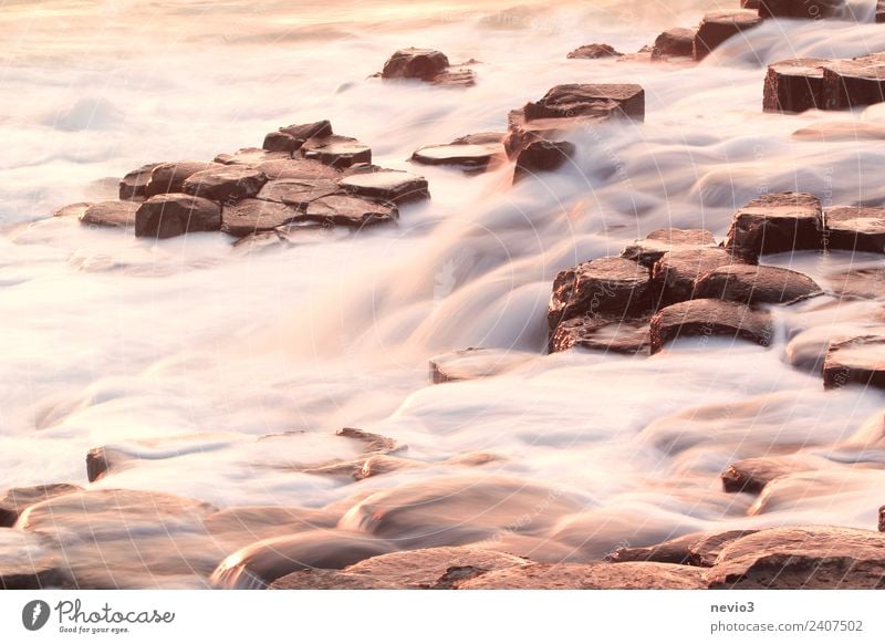 Giant's Causeway (der Damm des Riesen) Natur Landschaft Wellen Küste Strand Bucht außergewöhnlich Flüssigkeit schön fließen Wasser Meer Nordirland