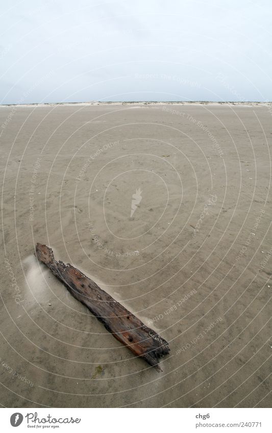 Reste Ferien & Urlaub & Reisen Sommer Strand Meer Natur Landschaft Sand Himmel Schönes Wetter Küste Nordsee Holz Wasser Ferne blau braun grau Stimmung Tourismus